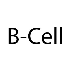b-cell
